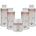 Kit Ox 07, Ox 20, Ox 30, Ox40 e Pó Descolorante Vizbelle
